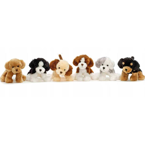 Teddy Kompaniet chiots modeles divers
