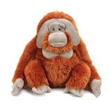 Wild Republic - Orang-outan Mâle - 12250